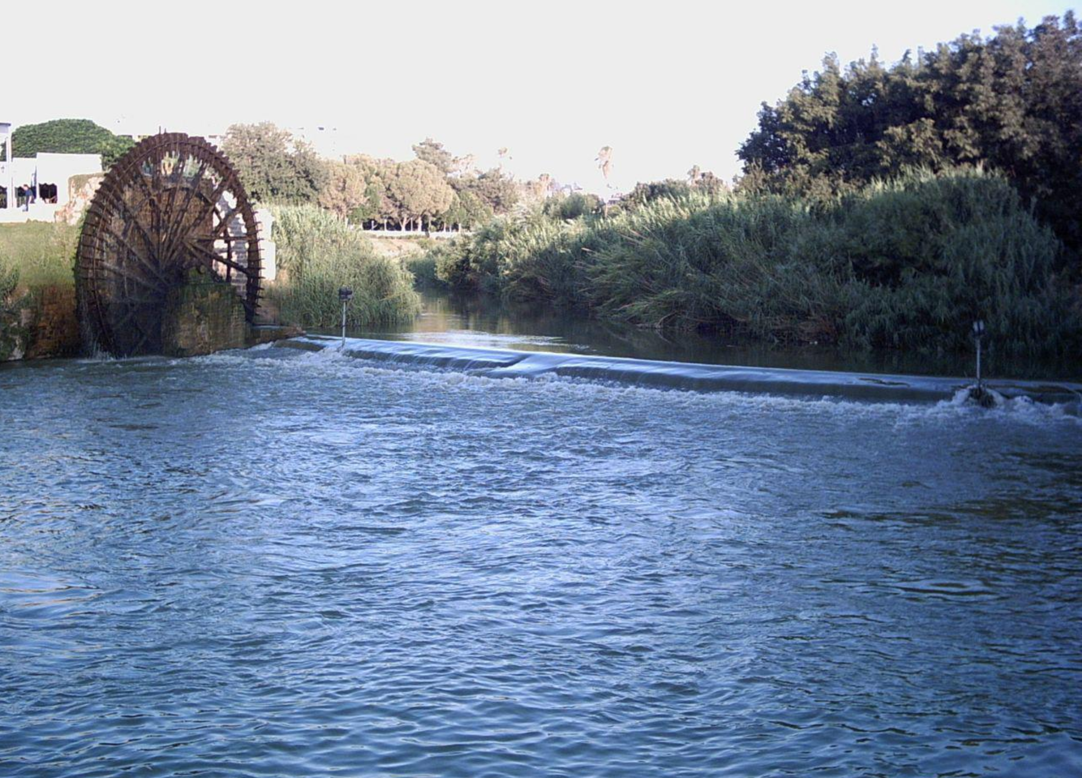 7 Cute little wheel Hafian